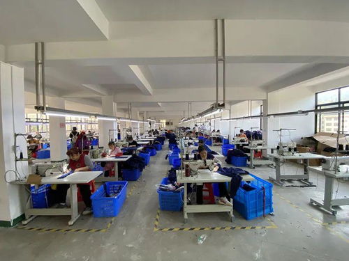 通道 稳住就业底盘，当好“六稳六保”排头兵——服装加工行业在行动